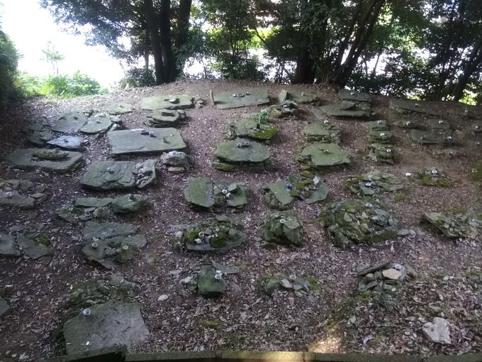 n}ƕ悩画jIђnɐRƉc܂ꂽu_nv