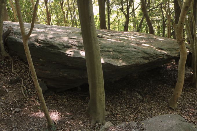 OC̐LV^̐nIu͏_ЁvƁuF̊v