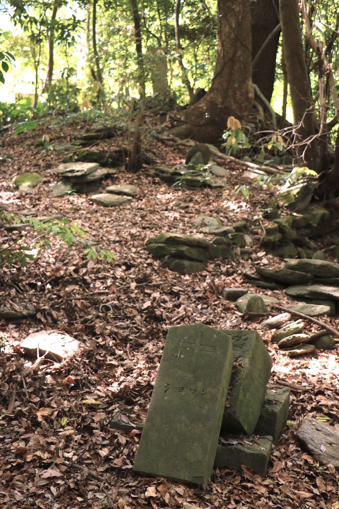 n}ƕ悩画jIђnɐRƉc܂ꂽu_nv