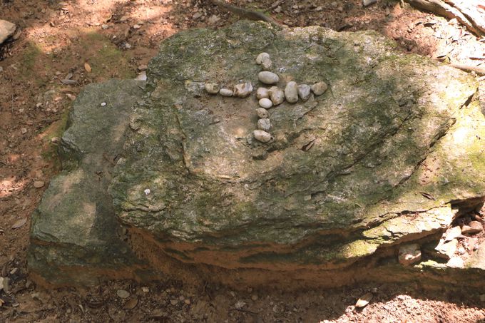 OC̐LV^̐nIu͏_ЁvƁuF̊v