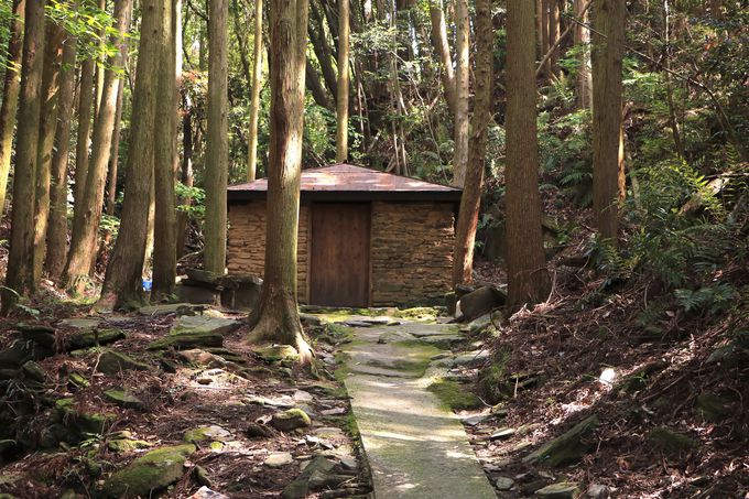 ÎȋԁIOC̃LV^`nuoX`̉~Ձv