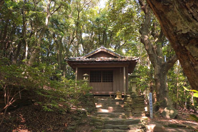 OC̐LV^̐nIu͏_ЁvƁuF̊v