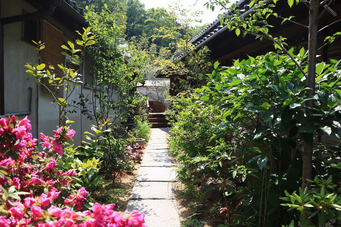 uÖƁvLoXɁIcꂽ쌻ƂĐE