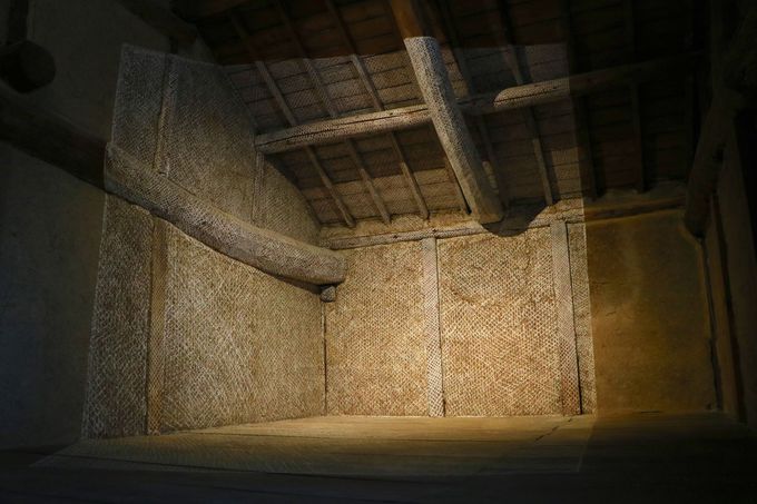 Ǝʐ^ׂāIWWE[X^ɐޑ