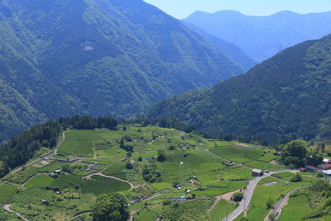 厩RɈ͂܂ĘȂށI܂Ń}`s`Ȓ̐i