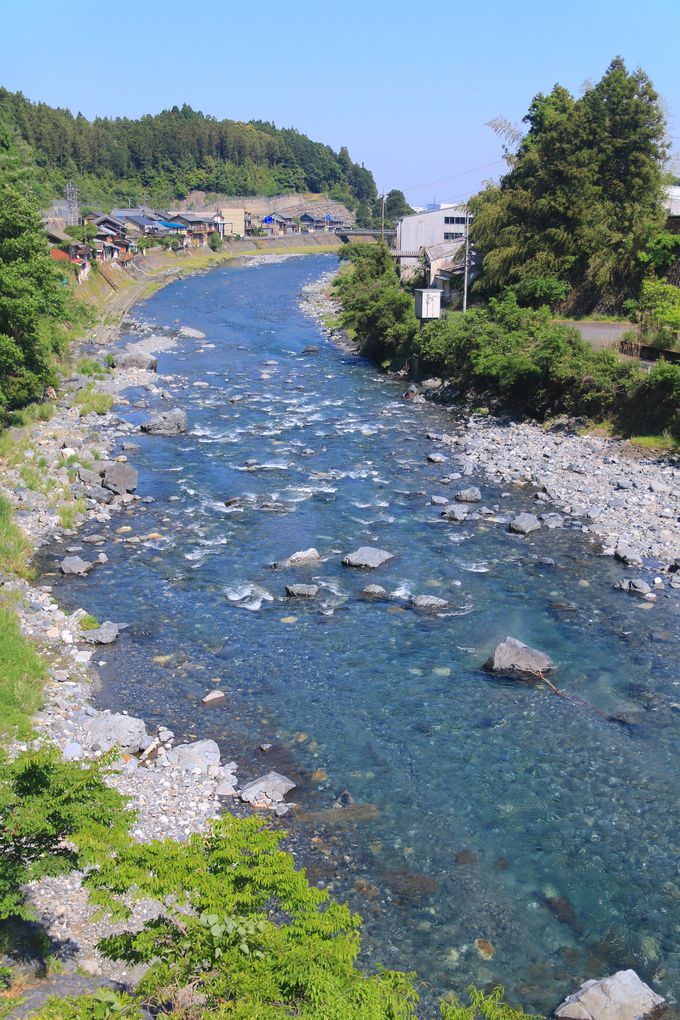 揖斐川町の大自然に佇む“岐阜のマチュピチュ”天空の茶畑へ | 岐阜県 | トラベルjp 旅行ガイド