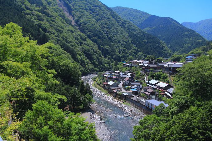 ɋ߂ǍL厩RIKŊyޓ{̉