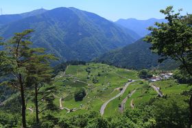 �K��쒬�̑厩�R�ɘȂށg�򕌂̃}�`���s�`���h�V��̒����ւ̋L���T���l�C��