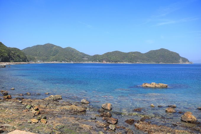 ܂Ő˓C̊C!?p̃V[TCh[h