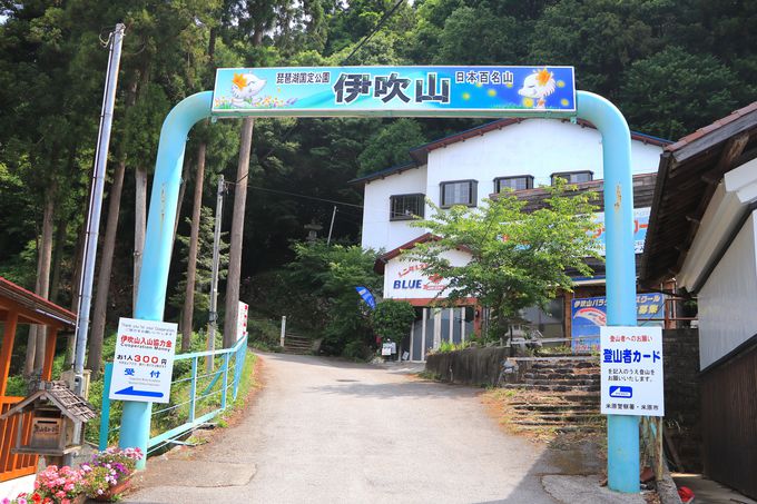 一度は登りたい 高山植物と緑が彩る滋賀県 伊吹山 へ夏山登山 滋賀県 トラベルjp 旅行ガイド