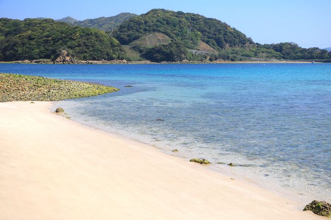 mꂴuv̐ir[`ŐSs܂Ŗ鎞