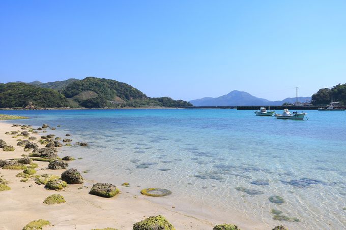 mꂴuv̐ir[`ŐSs܂Ŗ鎞