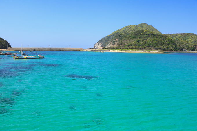 Gh̊CƉ₩ȎԁIܓ񓇂łȂi