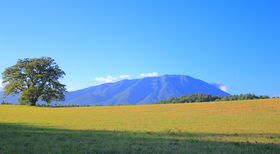 |IȊRɁI茧u_`đv̐i[g̋LTlC