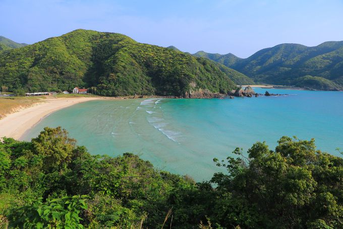 ܓ\鉓r[`͕KI]̃r[`3I