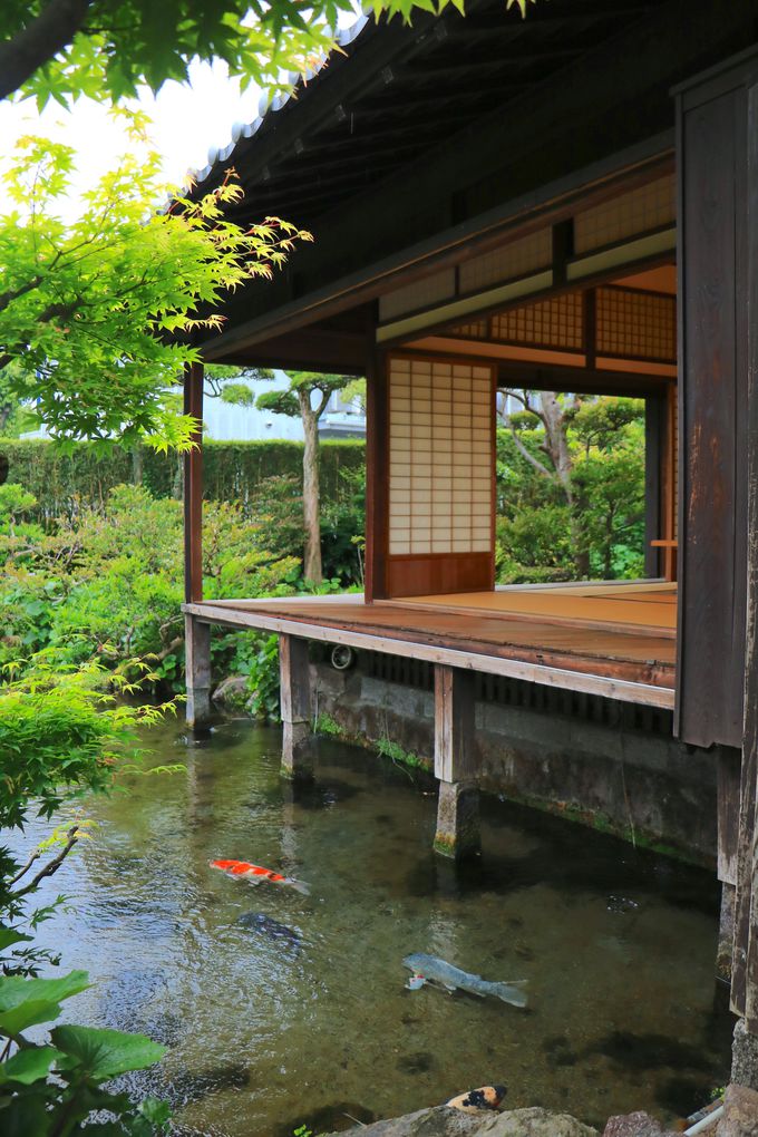 �������뉀�ɂ����̃T�[�r�X�I���䂩�����u�N���뉀 �l�����v