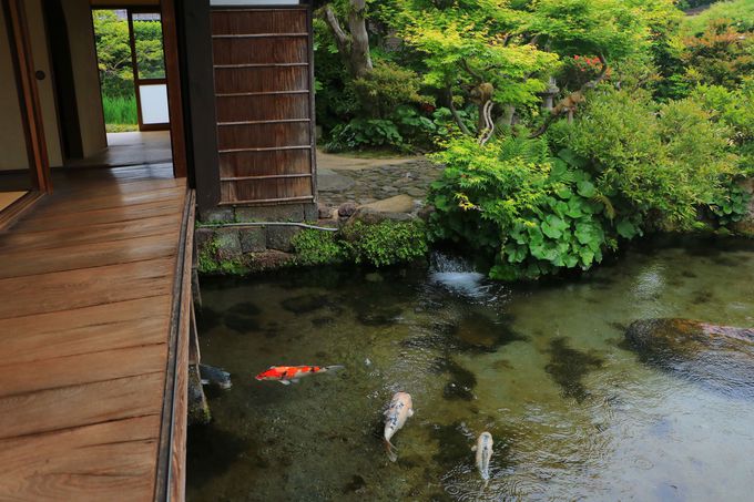 �������뉀�ɂ����̃T�[�r�X�I���䂩�����u�N���뉀 �l�����v