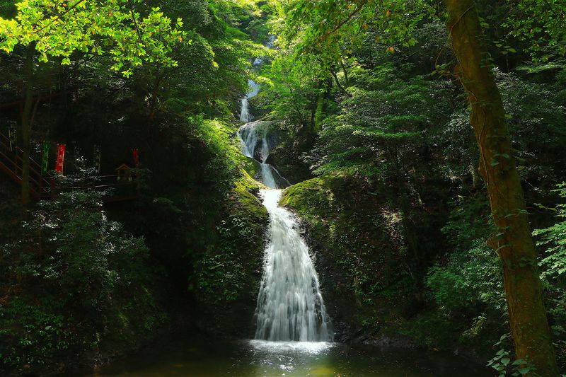 モデル、風景