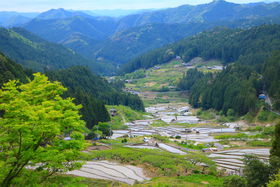 {̌iImVulJ̐疇cvŃp[`[W̋LTlC