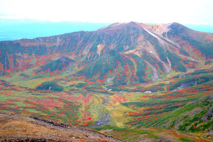 日本一早い紅葉を求めて 北海道大雪山 旭岳 へ日帰り登山 北海道 Lineトラベルjp 旅行ガイド