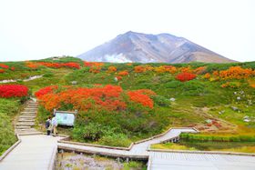 {ꑁgt߂āIkCRuxv֓AoR̋LTlC