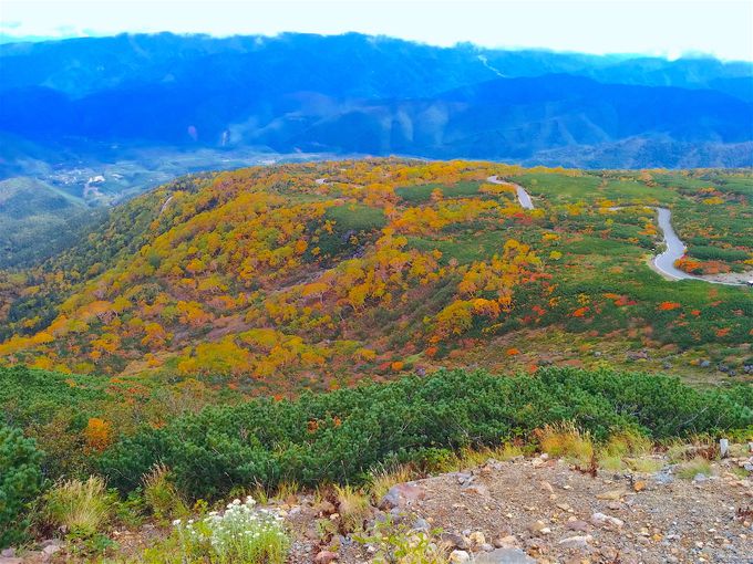 どこを見ても絶景 北アルプス 乗鞍岳 に彩る紅葉は錦絵のよう 岐阜県 Lineトラベルjp 旅行ガイド