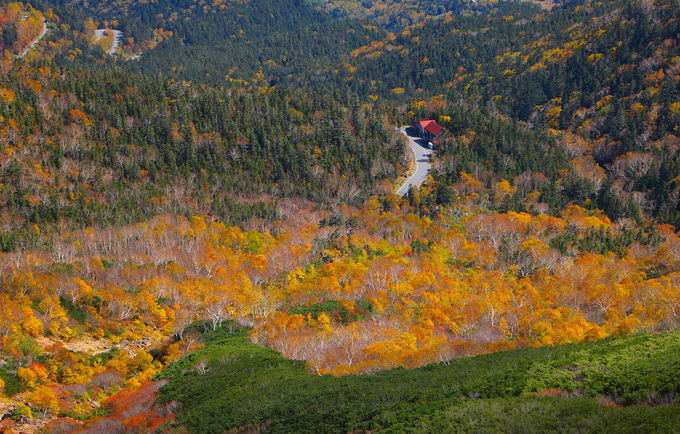 どこを見ても絶景 北アルプス 乗鞍岳 に彩る紅葉は錦絵のよう 岐阜県 Lineトラベルjp 旅行ガイド