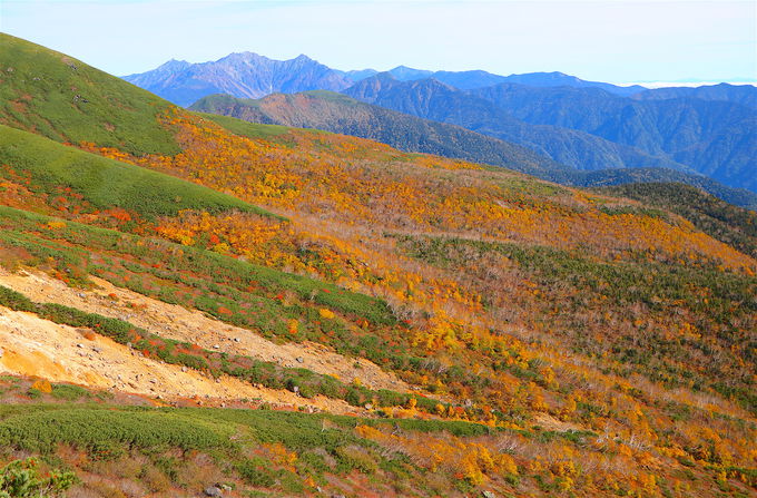 どこを見ても絶景 北アルプス 乗鞍岳 に彩る紅葉は錦絵のよう 岐阜県 Lineトラベルjp 旅行ガイド