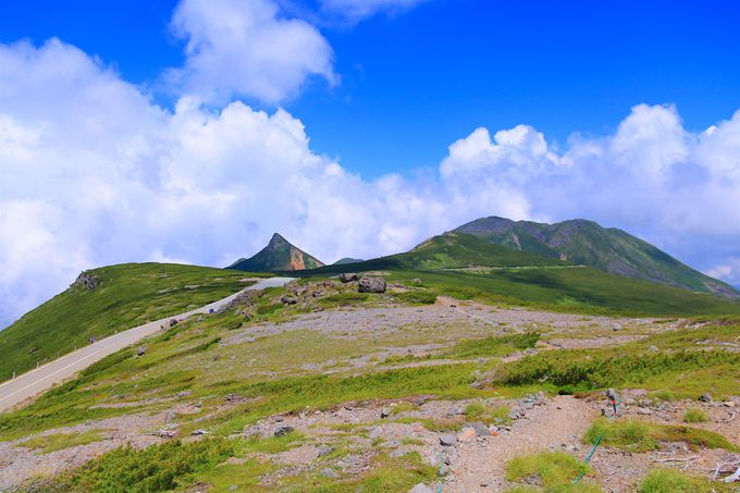 L΂ăR}NTQƃn[g̒rI单xoR