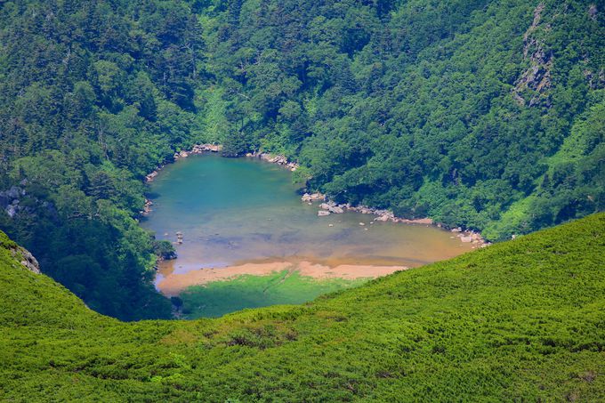 L΂ăR}NTQƃn[g̒rI单xoR