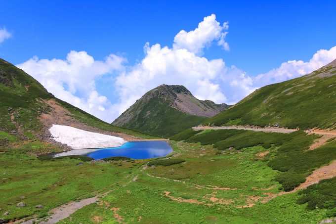 oRŗ낤uxmxv璭߂ƒ߃r