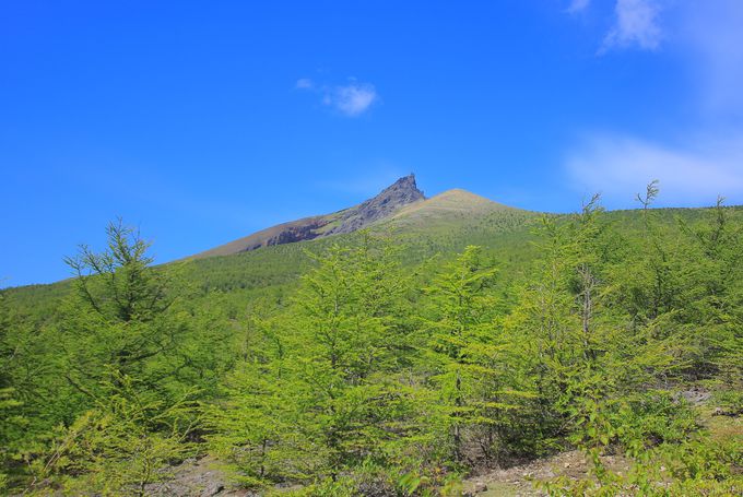 秀峰「駒ヶ岳」は馬の背まで！大スケールの道南を味わおう | 北海道 | トラベルjp 旅行ガイド