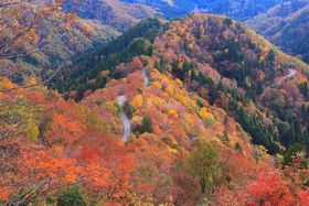 ꌧ̐Vgt!?IX̔鋫uɂイvi̋LTlC