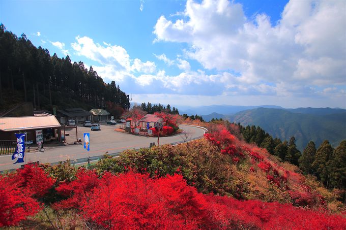 和歌山 高野龍神スカイライン は紅葉が美しい関西屈指の絶景道 和歌山県 Lineトラベルjp 旅行ガイド