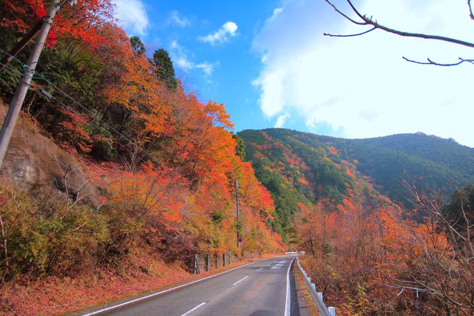 和歌山 高野龍神スカイライン は紅葉が美しい関西屈指の絶景道 和歌山県 Lineトラベルjp 旅行ガイド