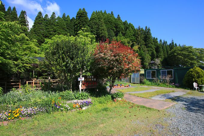 hόɗpI쏬uppv͍ō̃Cn