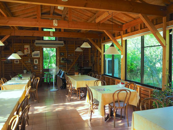 쏬ɘȂޘV܃Xguv`g}gv̗̊