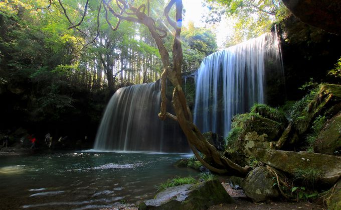 hόɗpI쏬uppv͍ō̃Cn