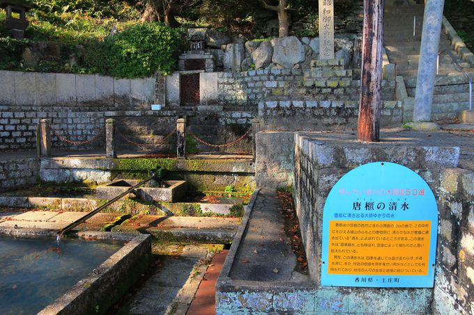 �f�p�ȘȂ܂����f�G�ȁu�L���v�I���R�F��Ə��������炷��