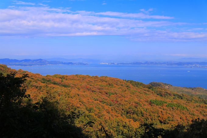 ���͌���!?�L���̐�i�W�]��u�d�R�v�ւ�������낤