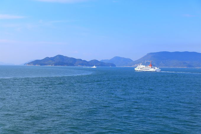 �f�p�ȘȂ܂����f�G�ȁu�L���v�I���R�F��Ə��������炷��