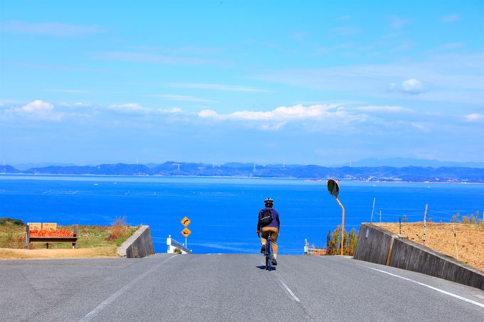 ���]�ԂŖL���̖��͂𔭌@���悤�I