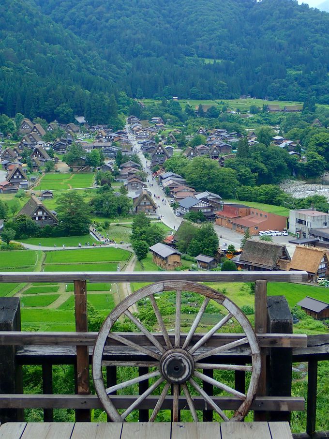 |IȎRƁAl̉c݂au싽vƈꏏ