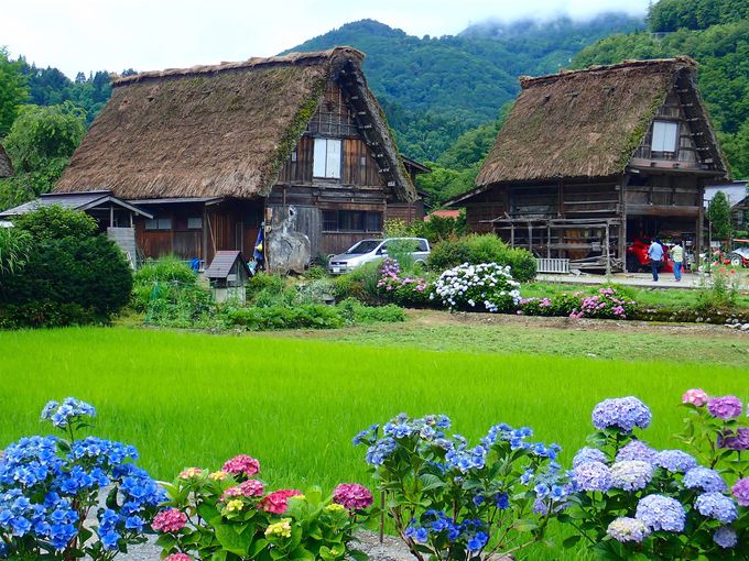 |IȎRƁAl̉c݂au싽vƈꏏ