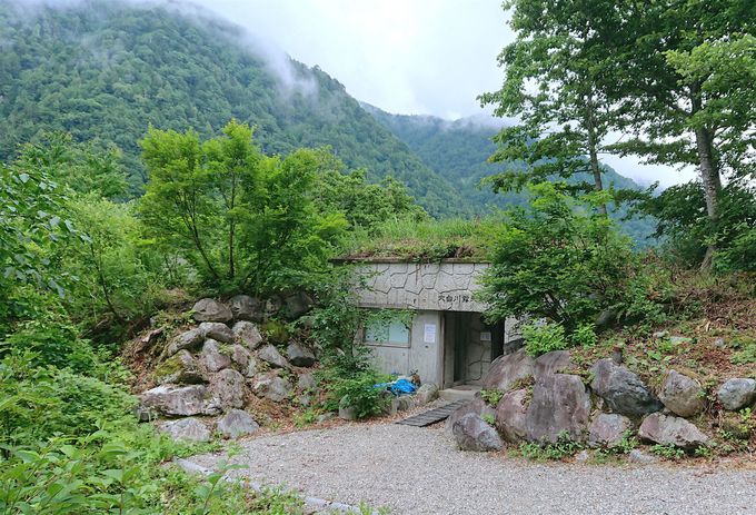 铒u唒IVCvI厩R̒̂Ńp[`[W