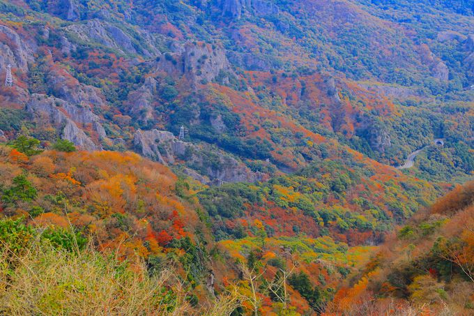 日本三大渓谷美 寒霞渓 と紅葉のコラボ 瀬戸内海 小豆島 の秋 香川県 トラベルjp 旅行ガイド