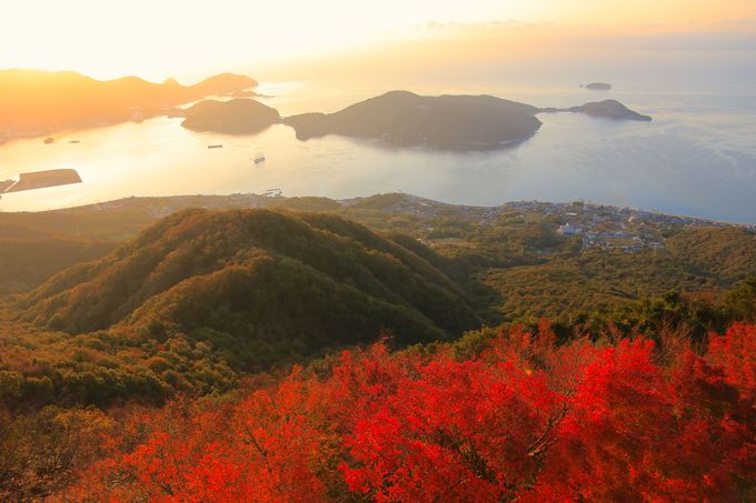 ΂̊ق̐Ԃ݂IB̍gt̖͑ɂ