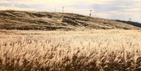 F̃r[iXCƖIH̐MBEinCLŐLTlC