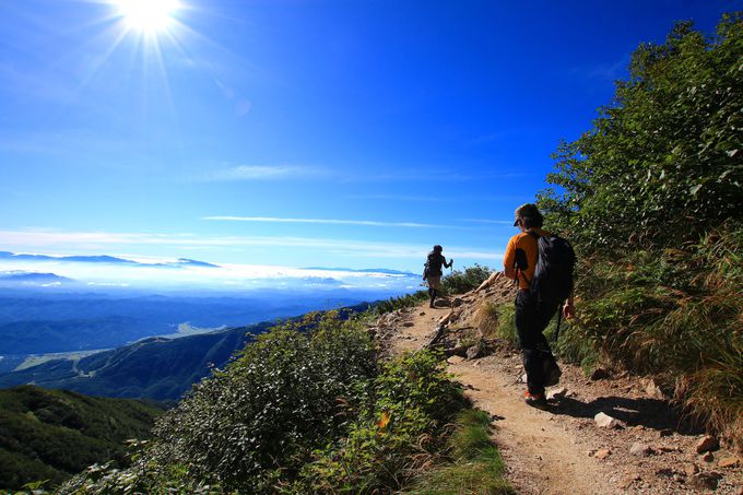 r{iIȓoRJnIrɂ͐k⍂RA