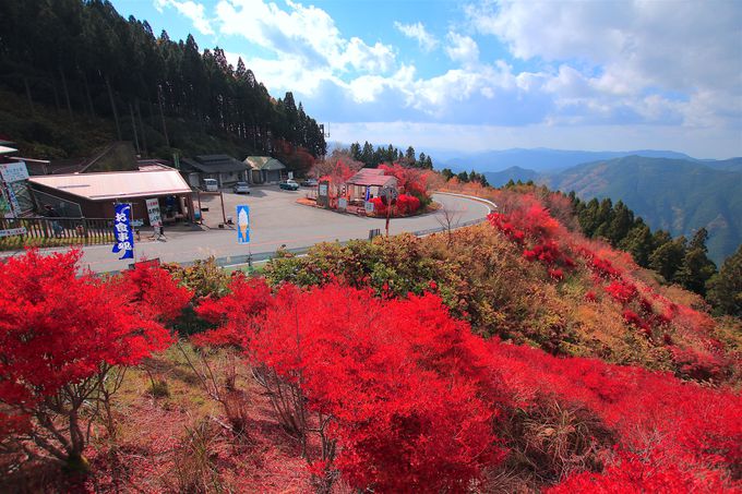 紅葉 道のコラボ 秋だからこそ訪れたい関西の絶景道5選 Lineトラベルjp 旅行ガイド